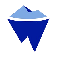 Wiselook