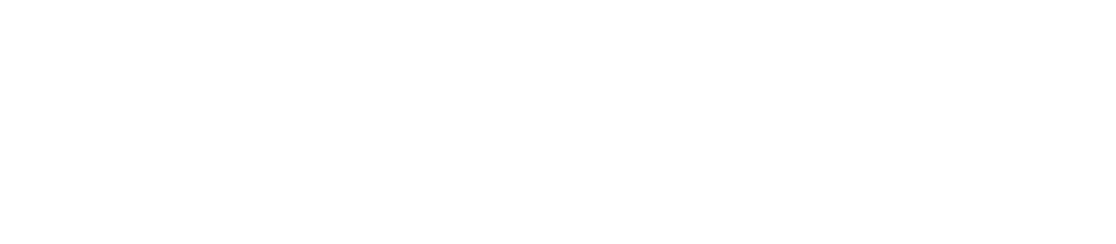 TelnessTech