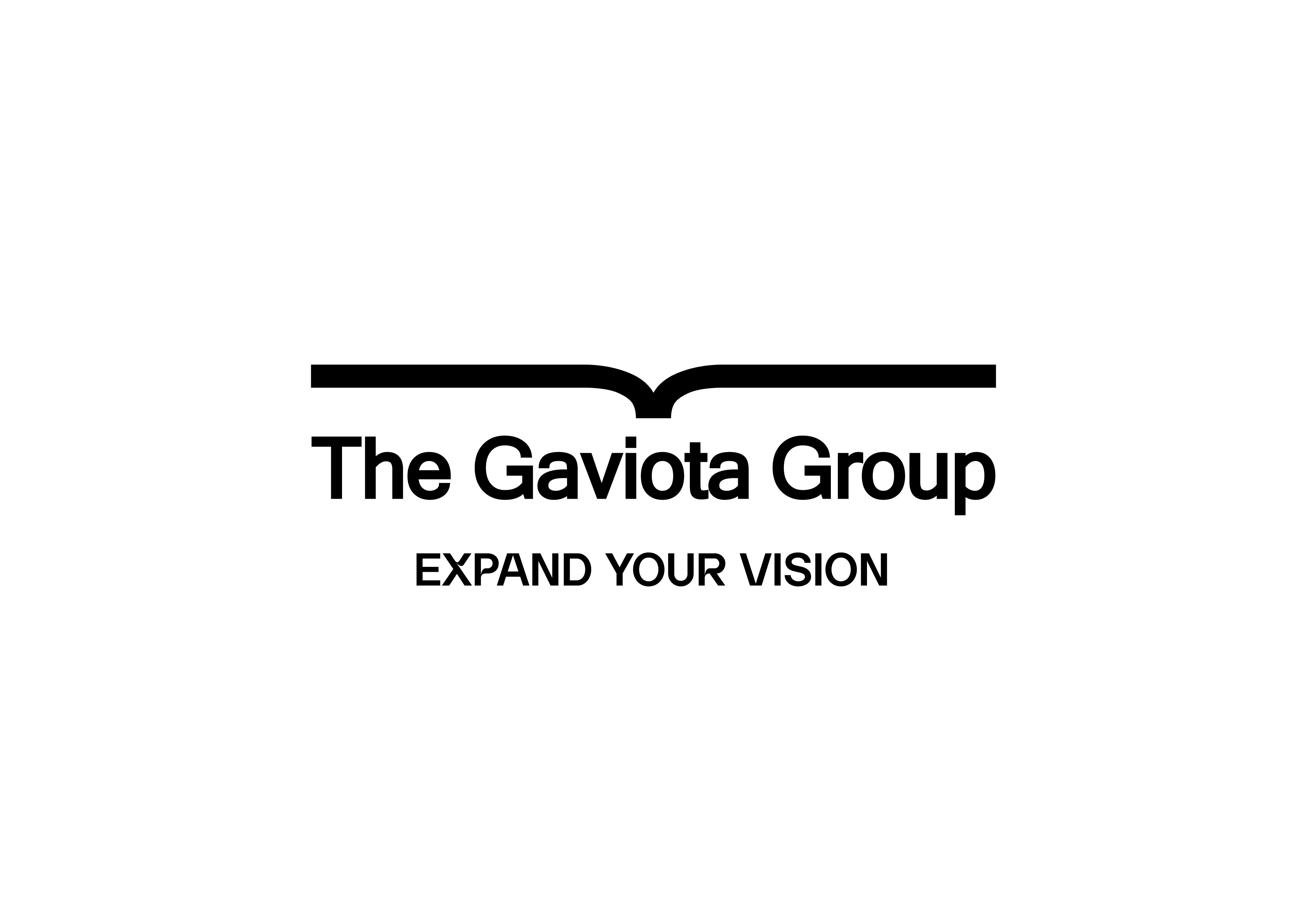 Gaviota Group