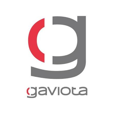 Gaviota Group